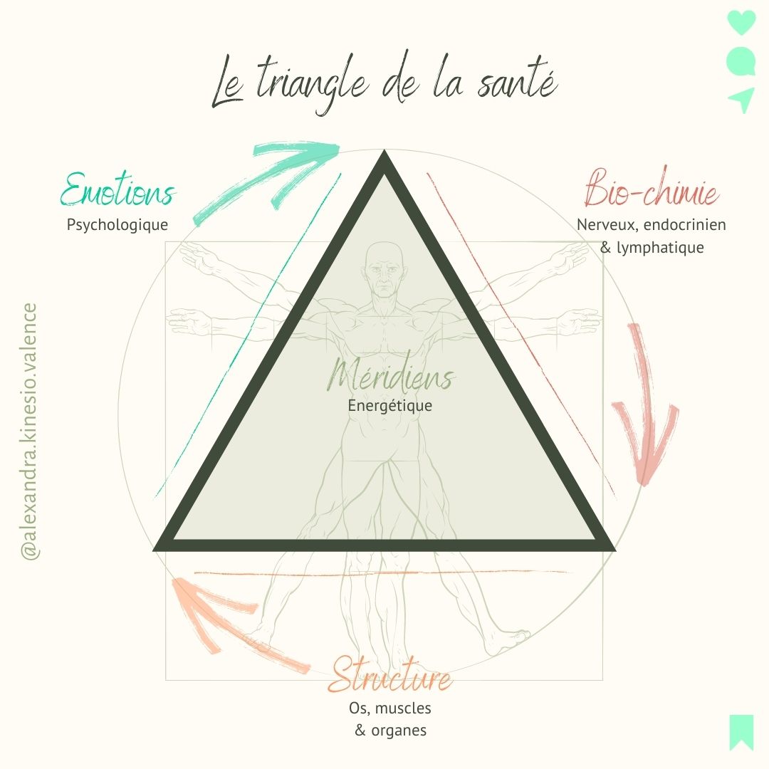 Le triangle de la santé en kinésiologie