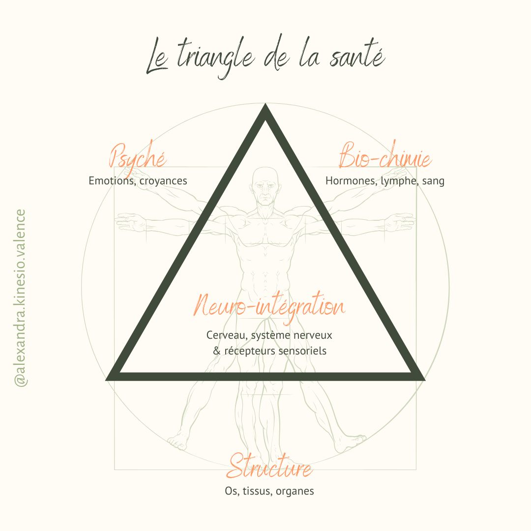 Le triangle de la santé en kinésiologie